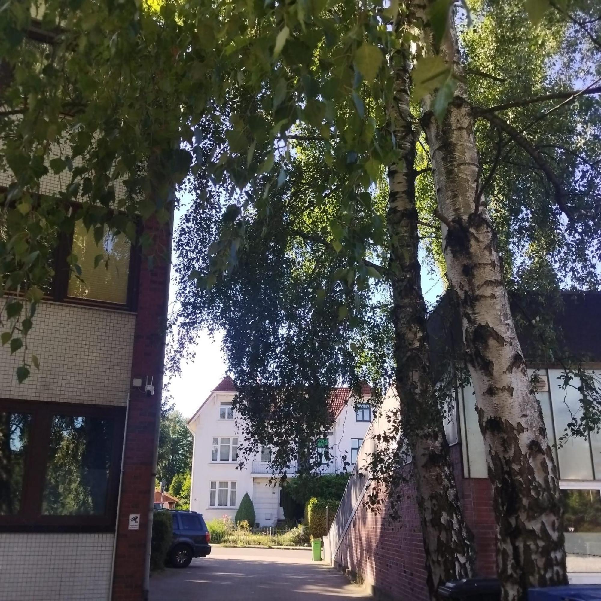 Monteurzimmer In Hamburg West Bei Hansezimmer Exterior foto